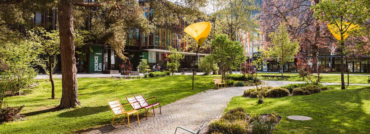 Grüner Campusbereich mit gepflastertem Weg, bunten Bänken und moderner Hochschularchitektur im Hintergrund