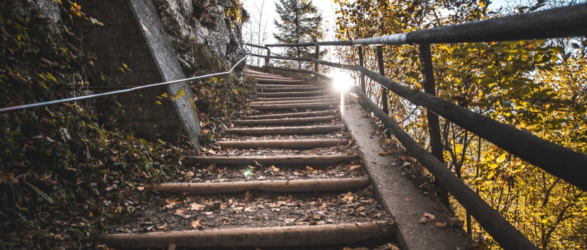 Ein sehr natürlicher Wanderweg, der mit nachhaltigen Treppen und einem Geländer ausgestattet ist. | © Kufsteinerland.vanmeyphotography