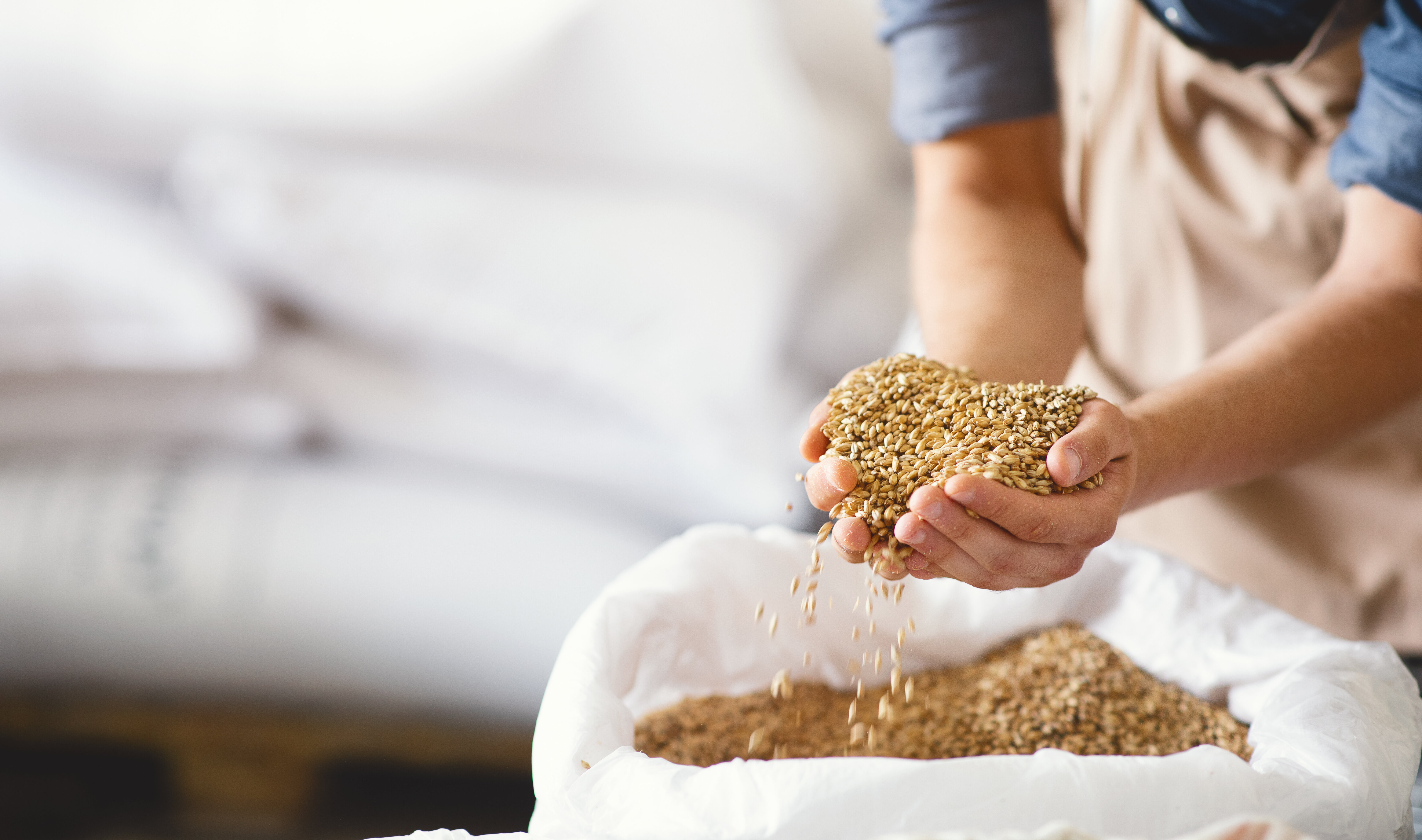 Eine Nahaufnahme von Händen, die Getreide in einen Sack schütten. | © AdobeStock.Prostock-studio