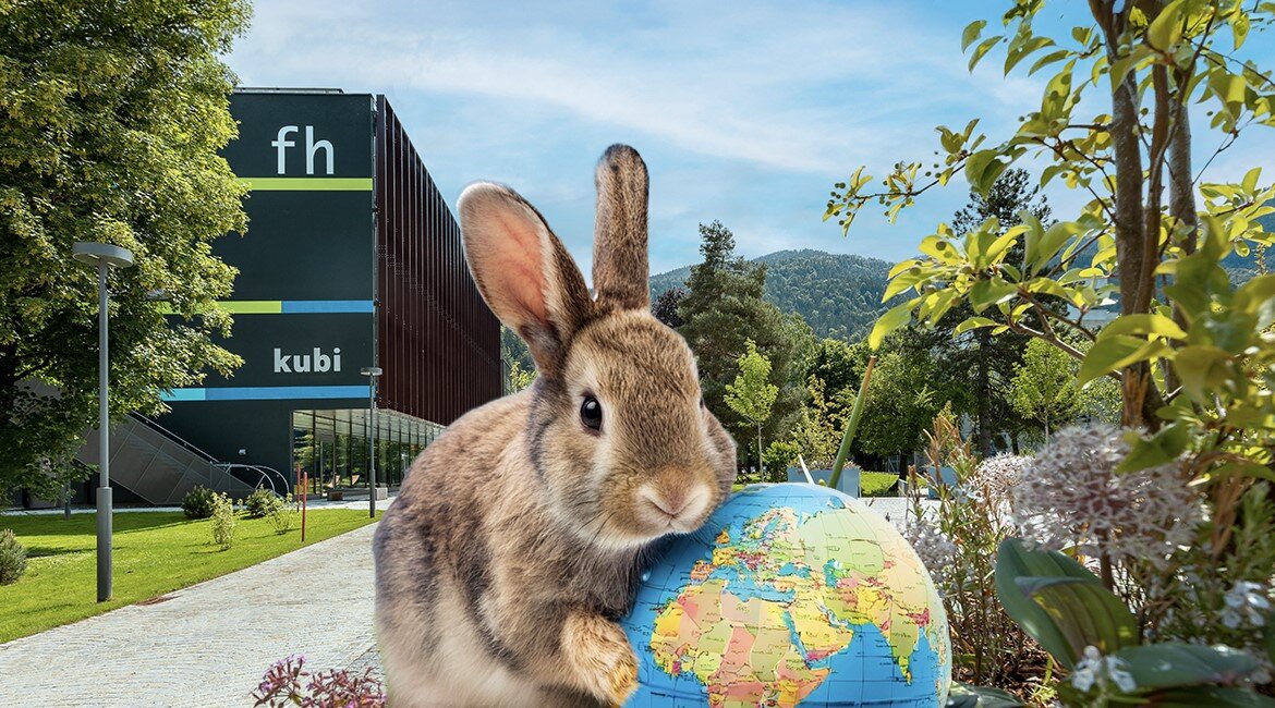 Bildmontage eines Hasen mit einer kleinen Weltkugel zwischen den Pfoten vor dem Campus der FH Kufstein Tirol.