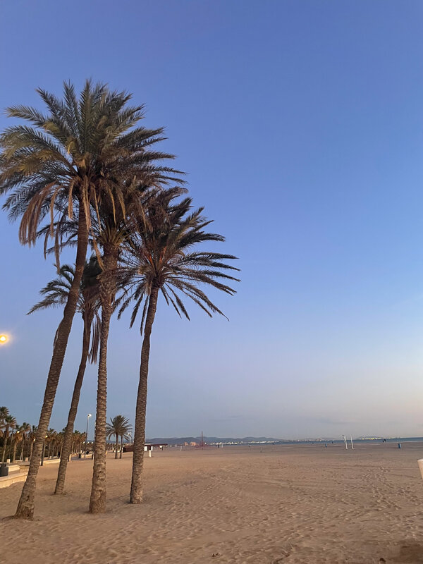 Strand mit Palmen bei Sonnenuntergang