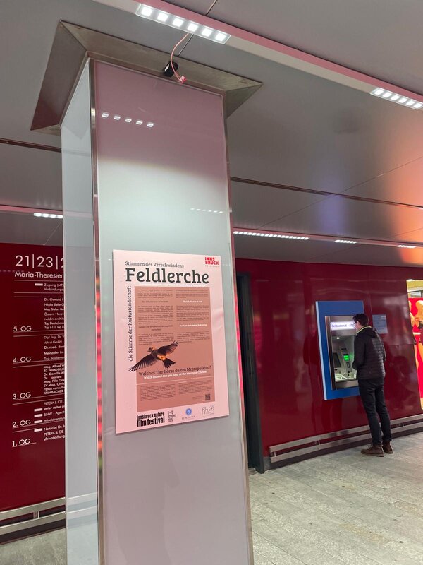 Plakat hängt an einer Informationssäule.