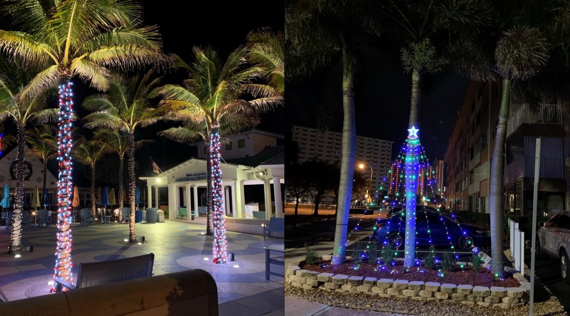 Palmen in Südflorida festlich mit Weihnachtsbeleuchtung dekoriert.