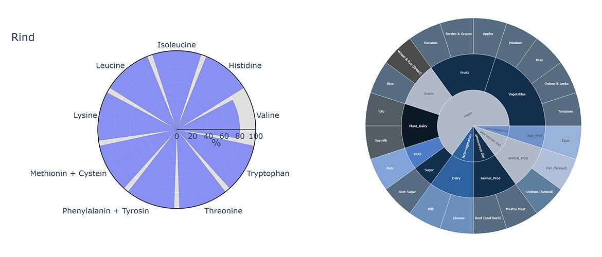 masterarbeit_visualisierung_datenbank | © ZHAW Zwei balue Grafiken. | © ZHAW