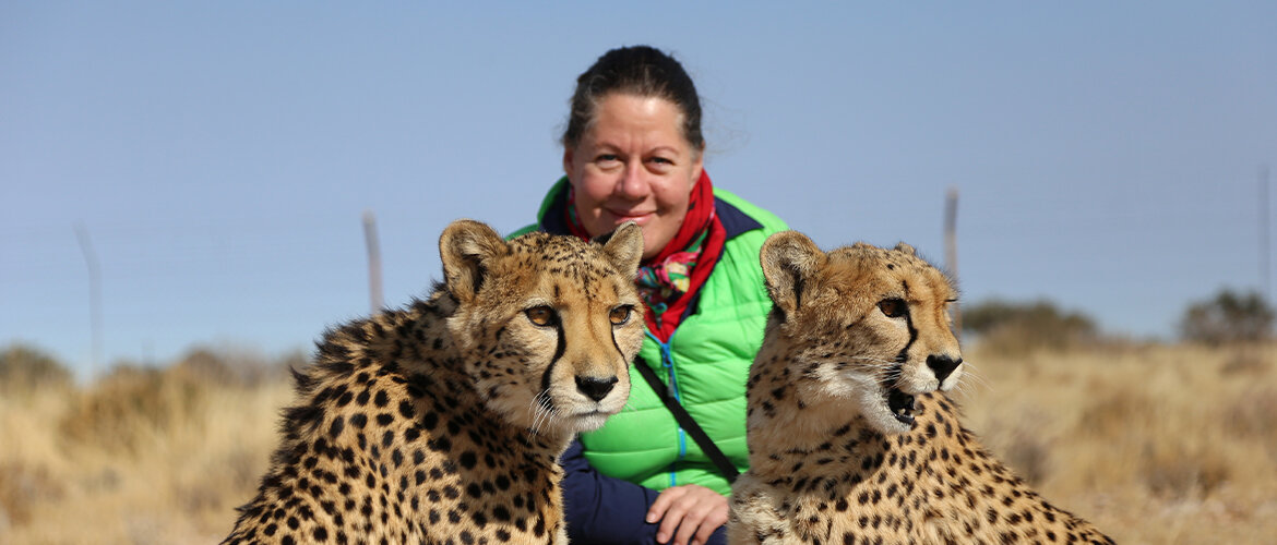Ausflug-Karin-Steiner-Gastfarm-Windhoek-Namibia Ausflug von Lektorin Karin Steiner auf eine typische Gastfarm bei Windhoek, Namibia, mit zwei Geparden.