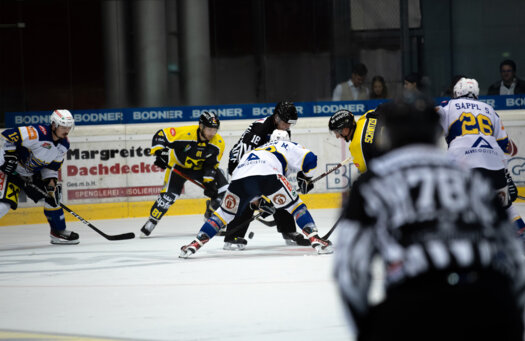 Eishockey-Team_Bild4