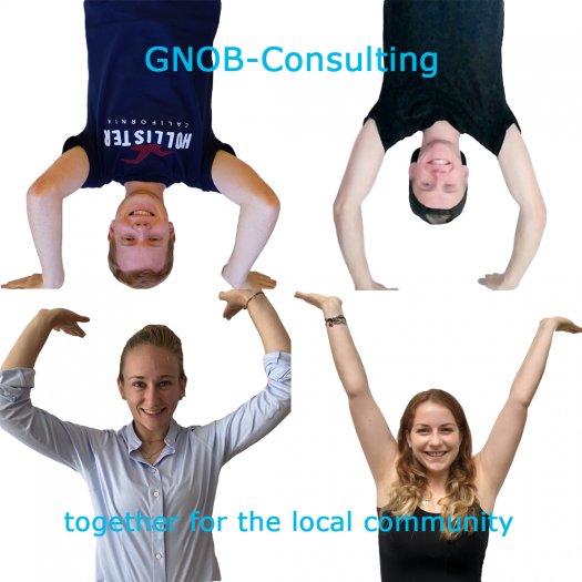 GNOB Consulting