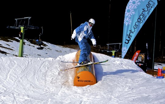 Sebastian Huber aus Deutschland belegte in der Kategorie Freestyle Ski den zweiten Platz.