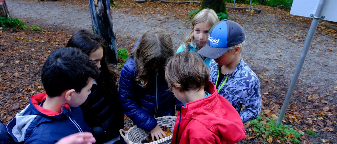 Die Kinder der Volksschule Kufstein begeben sich auf Spurensuche in der Natur.
